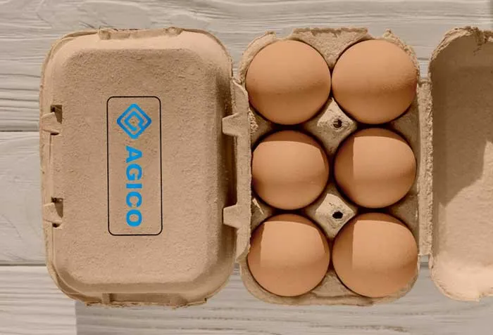 egg tray egg tray